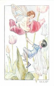 Artist impression 1960s Tulip Pixie Fairy Tarrant Fantasy Postcard 20-8436