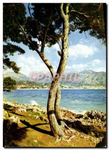 Postcard Moderne Menton Cap Martin From View