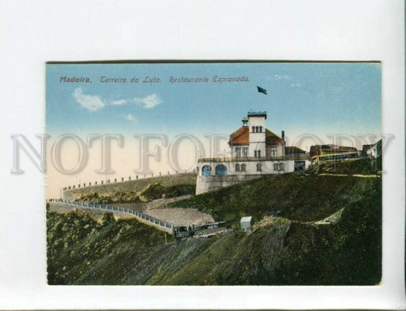 3173099 PORTUGAL MADEIRA Restaurante Esplanada Vintage postcard