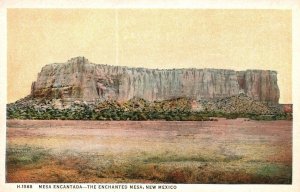 Vintage Postcard 1920's Mesa Encantada Enchanted Mesa Cliff Trail New Mexico NM