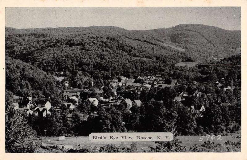 Roscoe New York Birdseye View Of City Antique Postcard K58328