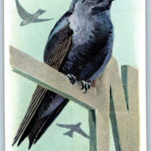 c1930s Purple Martin Bird Cow Baking Soda Trade Card 9th #14 Church Dwight C10