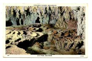 NM - Carlsbad Caverns. Lily Pads, Big Room