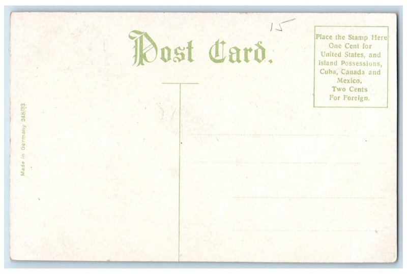 c1910 Seneca Park Road Trees Plants Rochester New York Vintage Antique Postcard