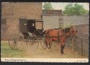 Northern Indiana Amish Horse and Buggy Parking Lot pm1971 ~ Cont'l