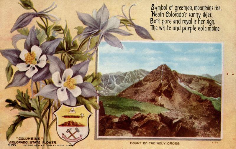Colorado State Flower - Columbine