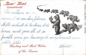 BR56993 Bear Hotel Grindelwald bear ours     Switzerland