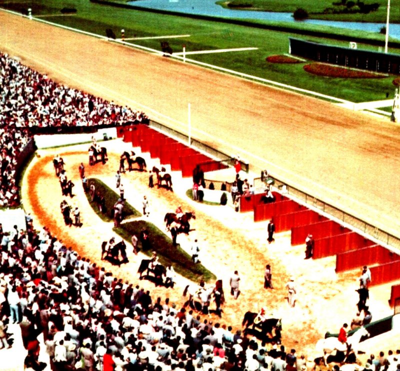 Postcard New Jersey Garden State Park Horse Racing Stadium Track View Chrome Era 