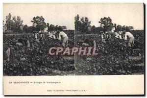 Old Postcard Wine Harvest pickers Group