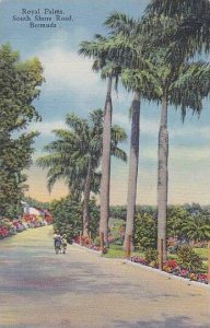 Bermuda Royal Palms South Shore Road