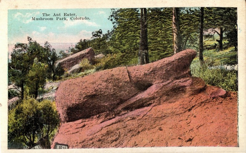 Circa 1920 The Ant Eater, Mushroom Park, Colorado White Border Postcard