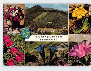 Postcard Flower Greetings from Semmering Austria