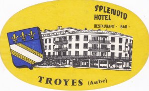 France Troyes Splendid Hotel Vintage Luggage Label sk2971
