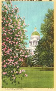 Vintage Postcard 1920's A Glimpse State Capitol From Park Sacramento California