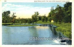 Bass Pond, State Fish Hatchery - Detroit Lakes, Minnesota MN Postcard