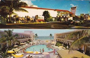 Florida Miami Beach World Famous Desert Inn Resort Motel With Pool 1960