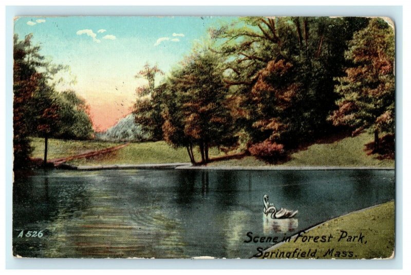 1910 Scene in Forest Park, Springfield, Massachusetts MA Antique Postcard