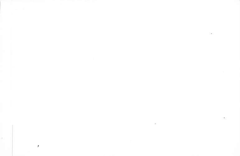 Joe Tinker Baseball Player View Postcard Backing 