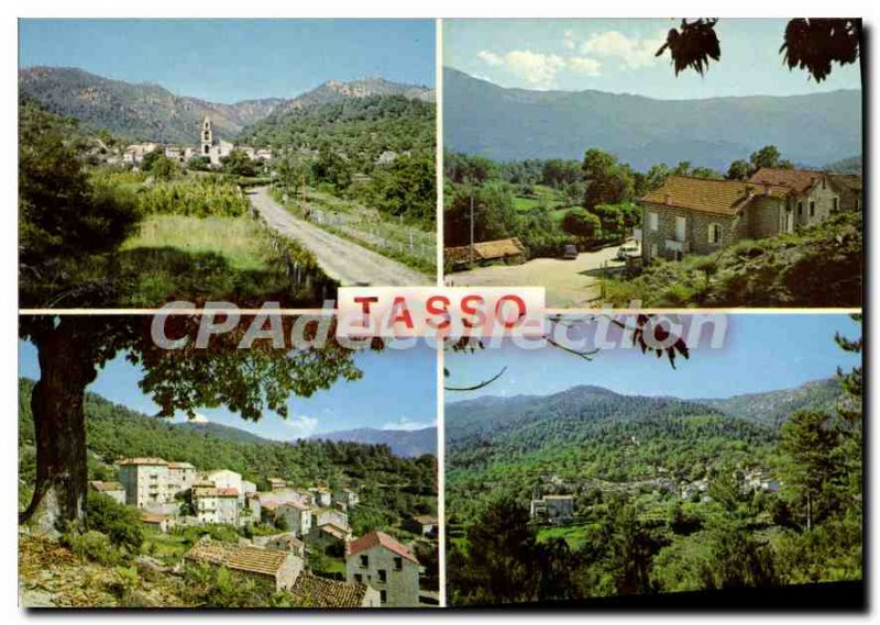 Postcard Modern Tasso Various Aspects