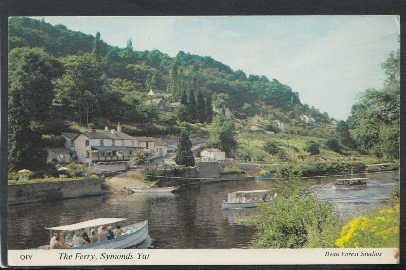 Herefordshire Postcard - The Ferry, Symonds Yat   RS20477