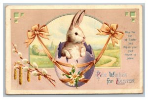 Vintage 1910's International Art Easter Postcard Cute Bunny Hatches Purple Egg