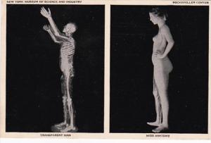 New York City Transparent Man & Miss Anatomy New York Museum Of Science a...