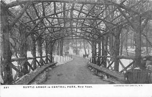Rustic Arbor in Central Park New York 1907c postcard