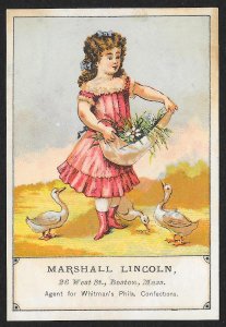 VICTORIAN TRADE CARDS (3) Marshall Lincoln Confections Girls & Animals