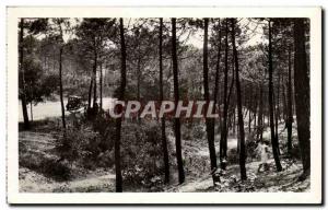 Saint Jean de Monts - A Pretty Corner Foret - Old Postcard