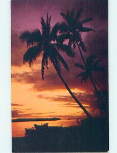 Pre-1980 BEAUTIFUL TREE SILHOUETTE AT SUNSET State Of Hawaii HI hp5878