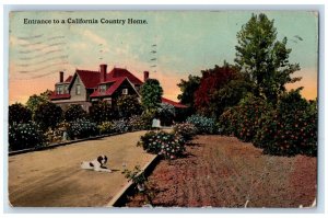 1913 Entrance To A California Country Home Riverside CA, Garden Scene Postcard 