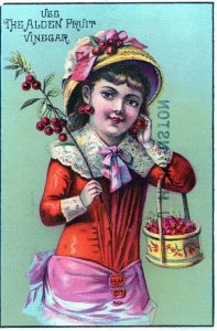 Victorian Trade Card JH Johnston Cedarville KS Kansas Aldean Fruit Vinegar