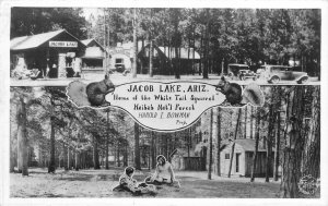 Arizona Jacob Lake multi View Kaibab Forest 1950s RPPC Photo Postcard 22-10392