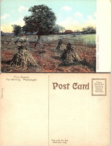 Harvest time, Auburn, Maine