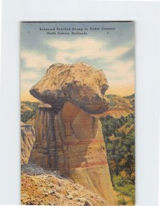 Postcard Balanced Petrified Stump in Cedar Canyon North Dakota Badlands ND USA