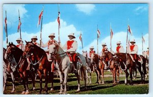 BARBADOS, West Indies ~ Horses MOUNTED POLICE Officers 1973 Postcard