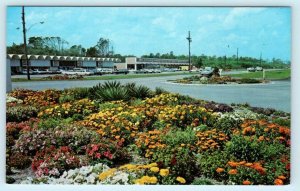 JEKYLL ISLAND, Georgia GA ~ MODERN SHOPPING CENTER c1960s Glynn County Postcard 