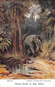 Forest Scene In East Africa Elephant Unused 