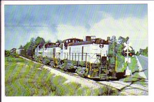 Detroit, Mackinac Railway Freight Train, South of Tawas City, Michigan,