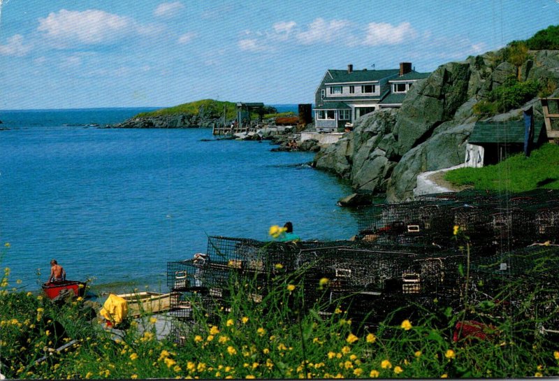 Maine Mohegan Island Shoreline View