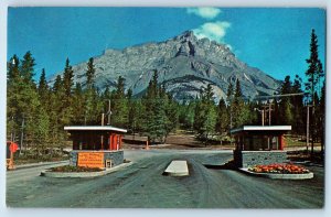 Banff Alberta Canada Postcard Tunnel Mountain Public Camp Grounds 1961