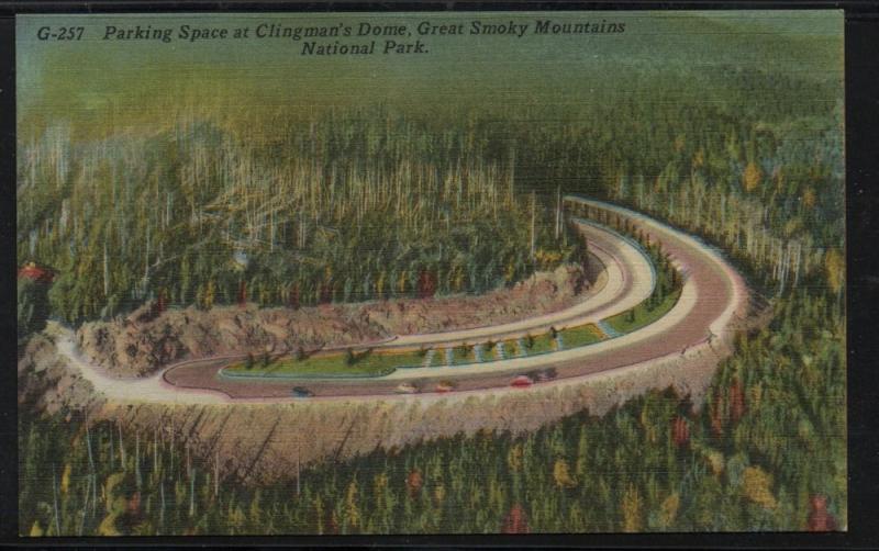 Great Smoky Mountains Nat Park Clingman's Dome Parking  colour PC  unused