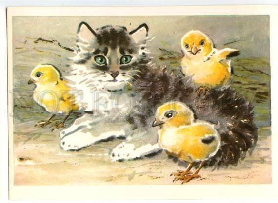 152823 CIRCUS ZOO CAT & Chickens Old russian PC