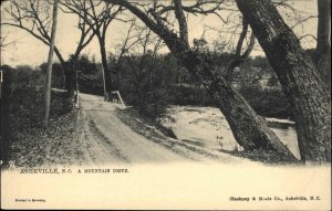 Tuck Asheville North Carolina NC Mountain Drive c1910 Vintage Postcard