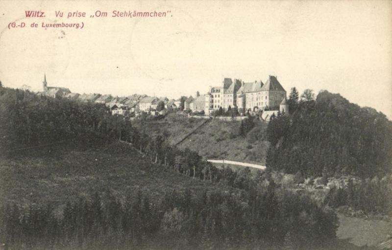 CPA Luxembourg, Wiltz Vue prise Om Stehkämmchen (30576)