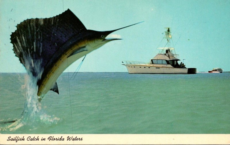 Fishing Sailfish Catch In Florida Waters 1970