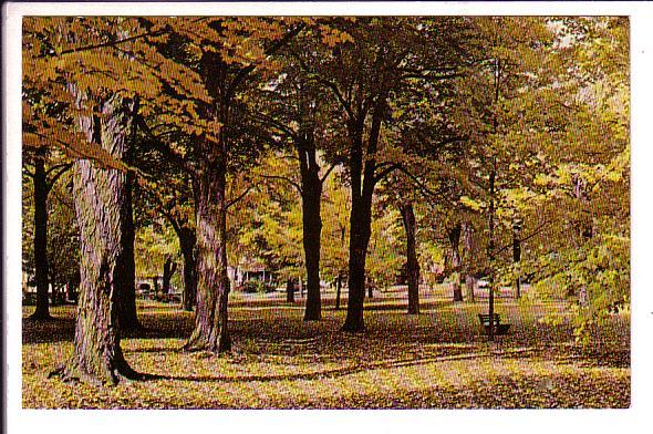 Autumn Scene, Woodstock, Ontario, 