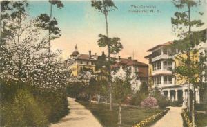 Albertype C-1930s Pinehust Hotel North Carolina hand colored postcard 4311