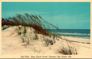 Florida Panama City Long Beach Resort Sea Oats 1966