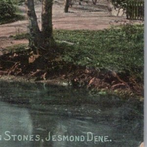 Northumberland Postcard - Jesmond Dene Stepping Stones, Newcastle RS39518